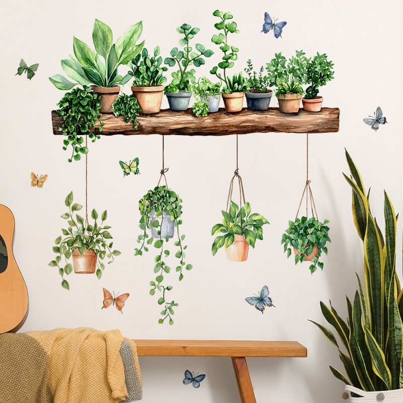 3D Potted Green Plant Shelf Wa – обзор и цена Echeveria Succulent