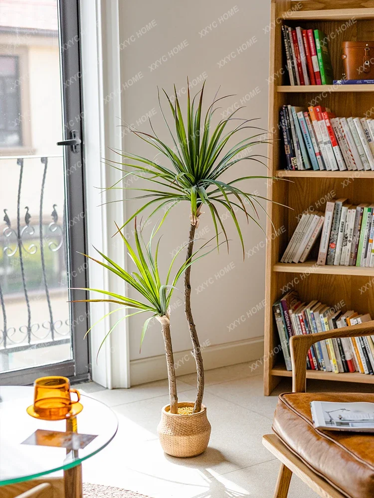 Light Luxury Simulation Green  – обзор и цена Dracaena Marginata