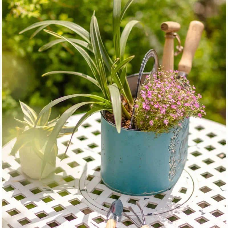 Blue Hanging Wall Planter Aged – обзор и цена Spider Plant Hanging