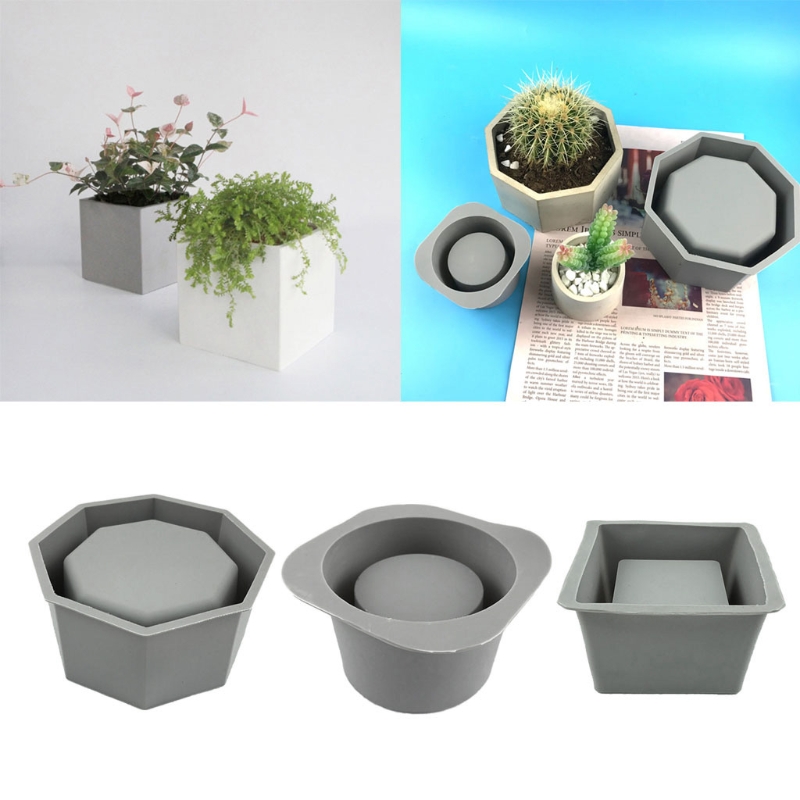 Handmade Succulent Planter Flo – обзор и цена Echeveria Succulent