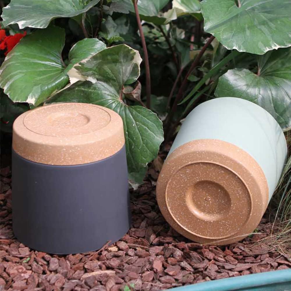 Plant POTS, lightweight large  – обзор и цена Aloe Vera Pot