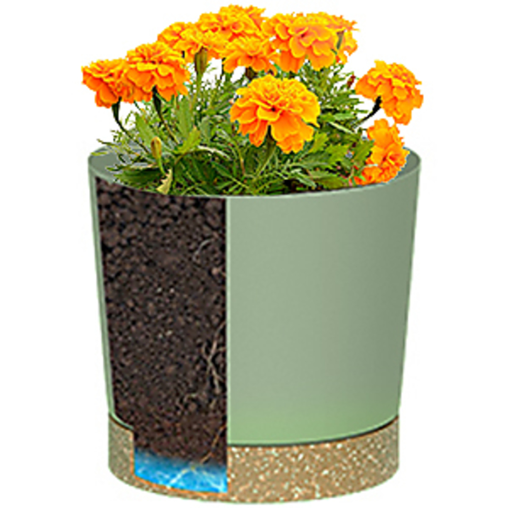 Plant POTS, lightweight large  – обзор и цена Aloe Vera Pot