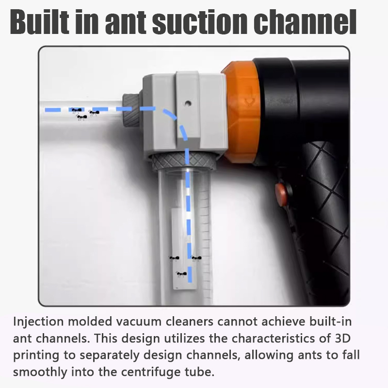 Ant Farm Collection Tool Ants  – обзор и цена Begonia Rex