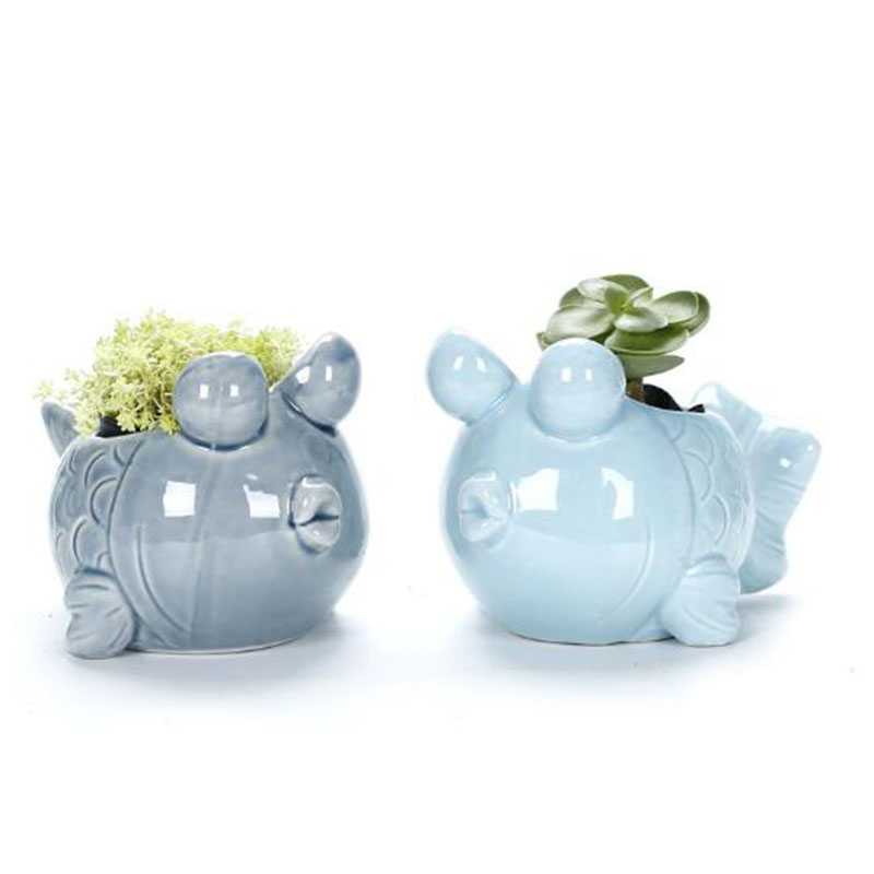 European Style Cute Fleshy Flo – обзор и цена Pilea Peperomioides