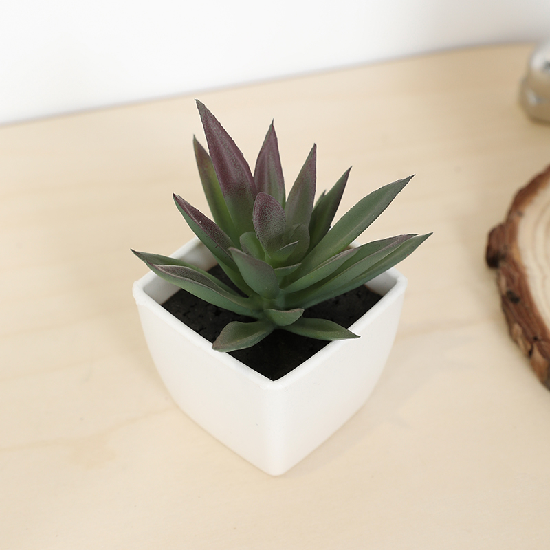 Mini Artificial Succulent Fair – обзор и цена Echeveria Succulent