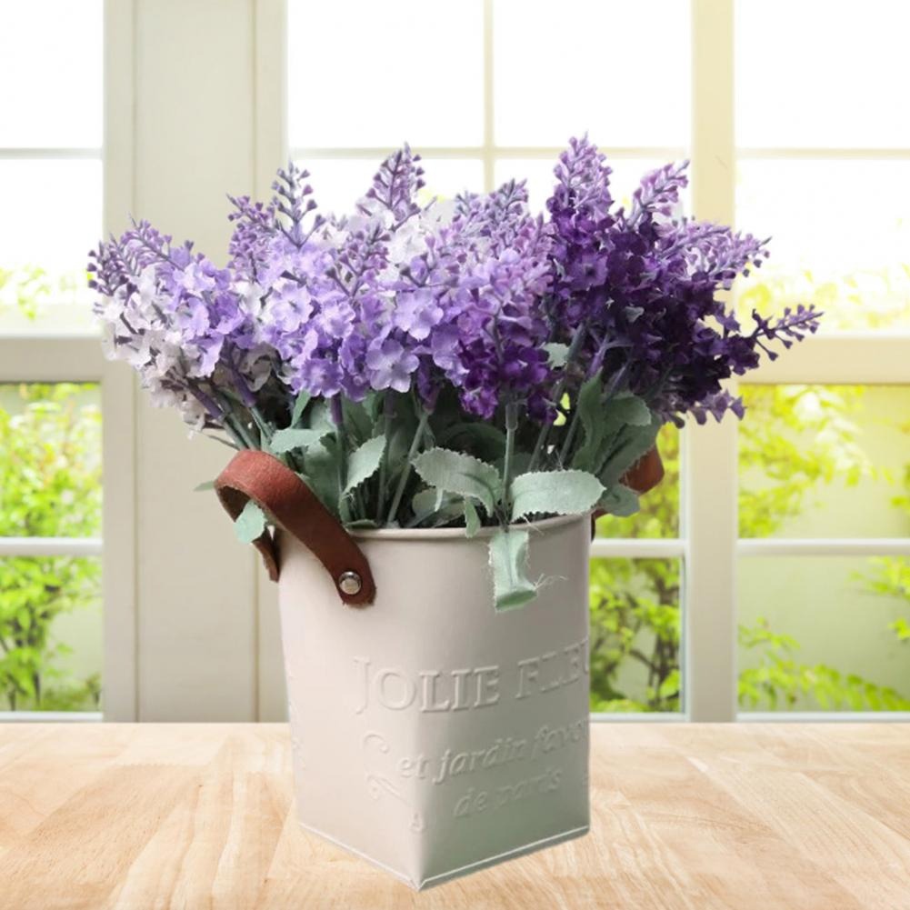 Barrels Garden Decoration Tin  – обзор и цена Pilea Peperomioides