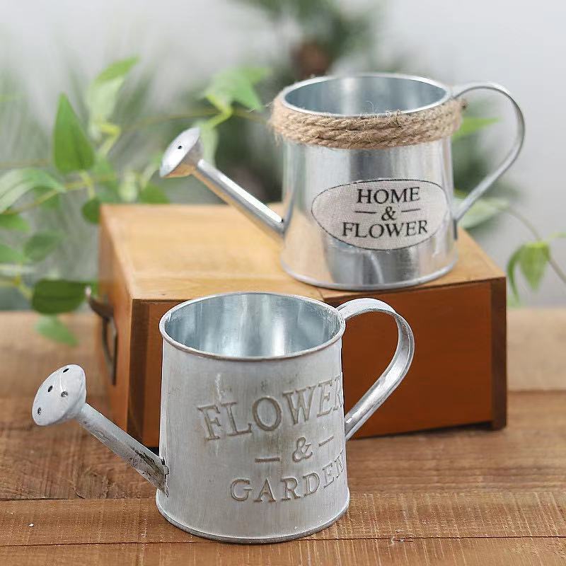 Barrels Garden Decoration Tin  – обзор и цена Pilea Peperomioides