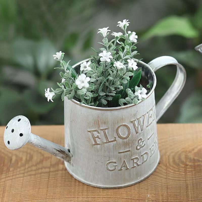 Barrels Garden Decoration Tin  – обзор и цена Pilea Peperomioides