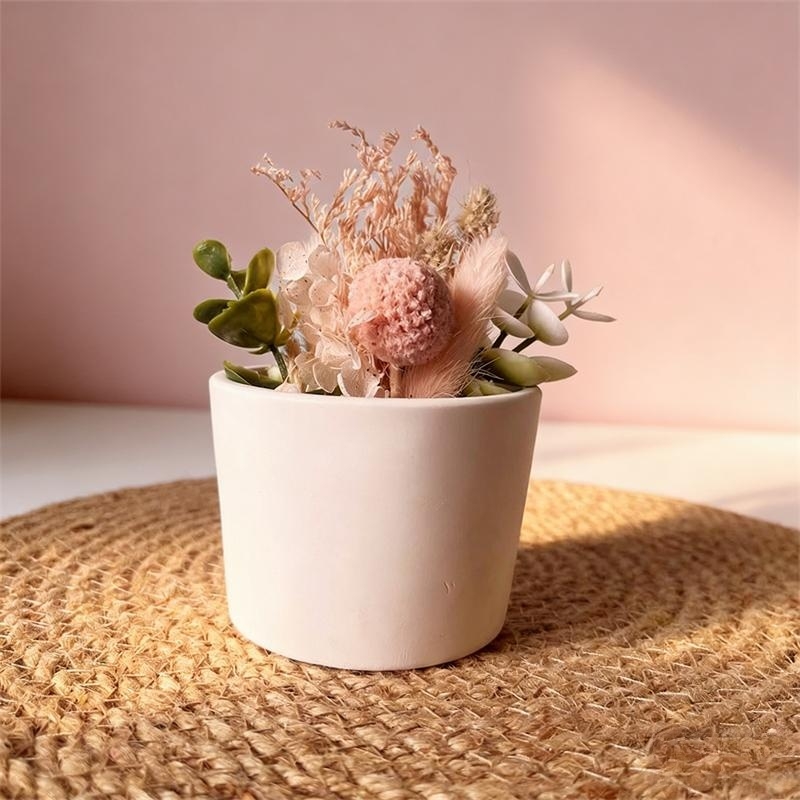 Round Plaster Vase Flowerpot C – обзор и цена Echeveria Succulent