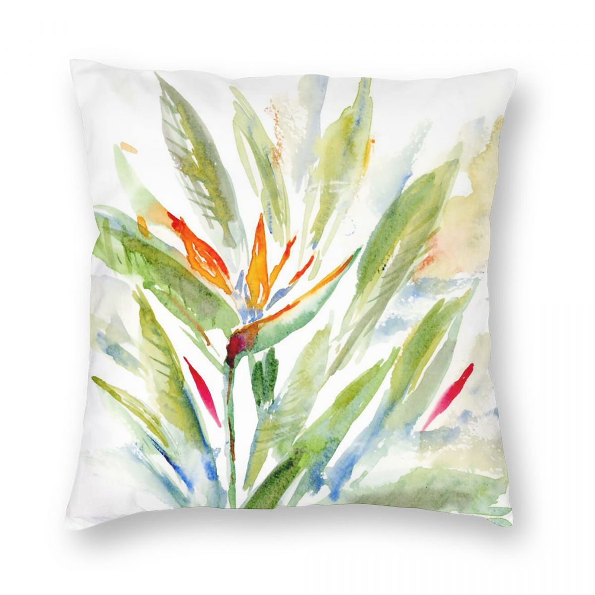 Bird Of Paradise Strelitzia Sq – обзор и цена Bird Paradise Strelitzia