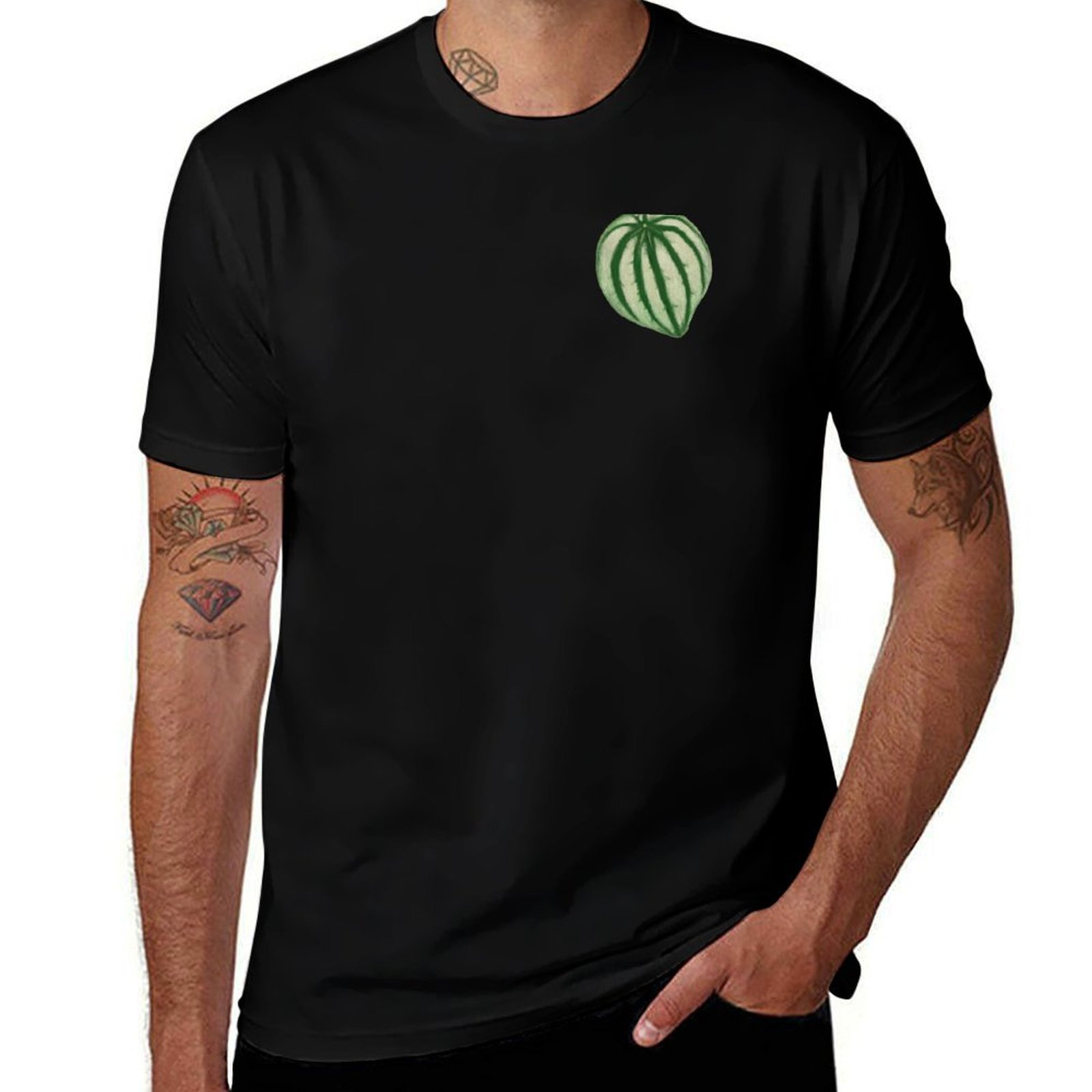 Watermelon Peperomia T-Shirt C – обзор и цена Peperomia Watermelon