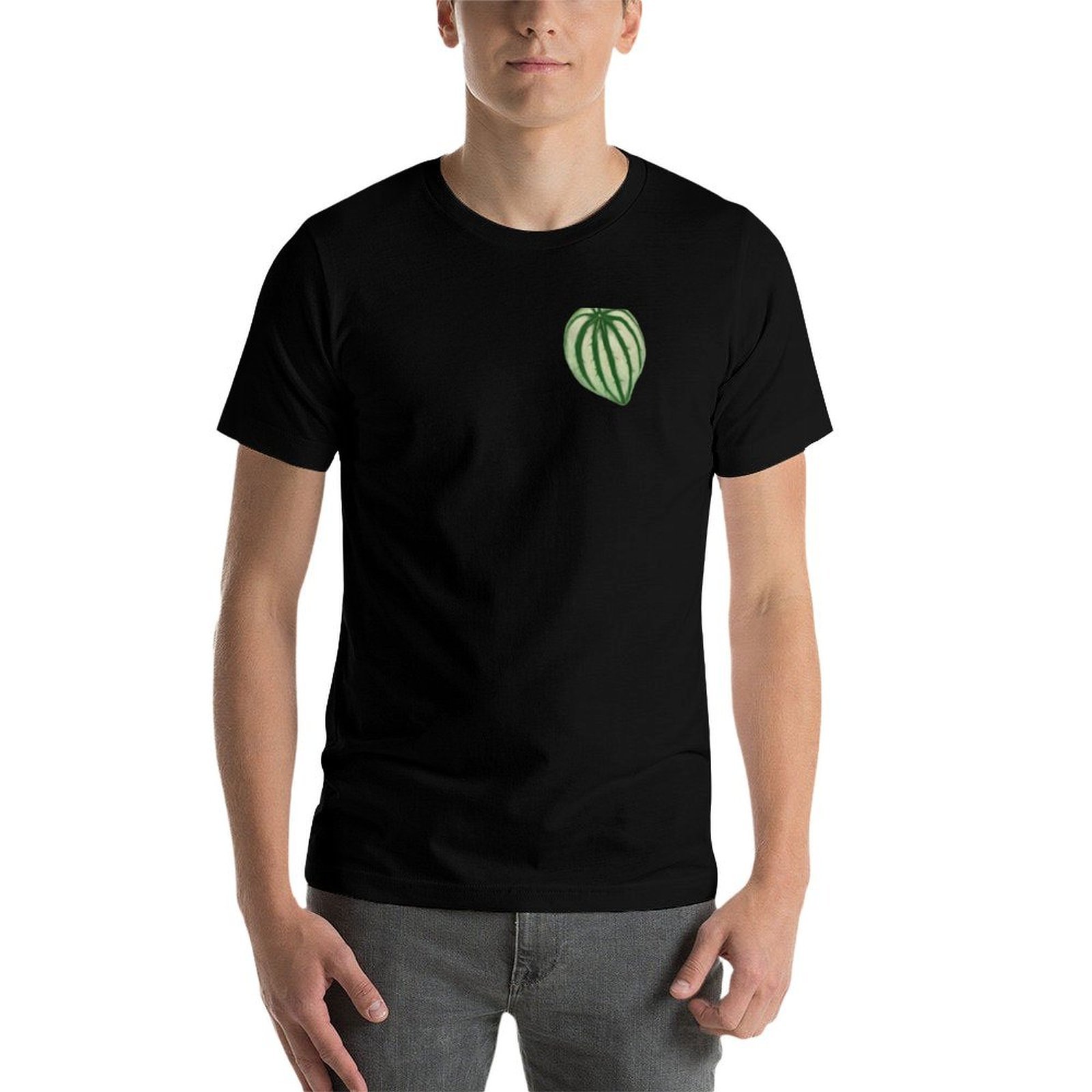 Watermelon Peperomia T-Shirt C – обзор и цена Peperomia Watermelon