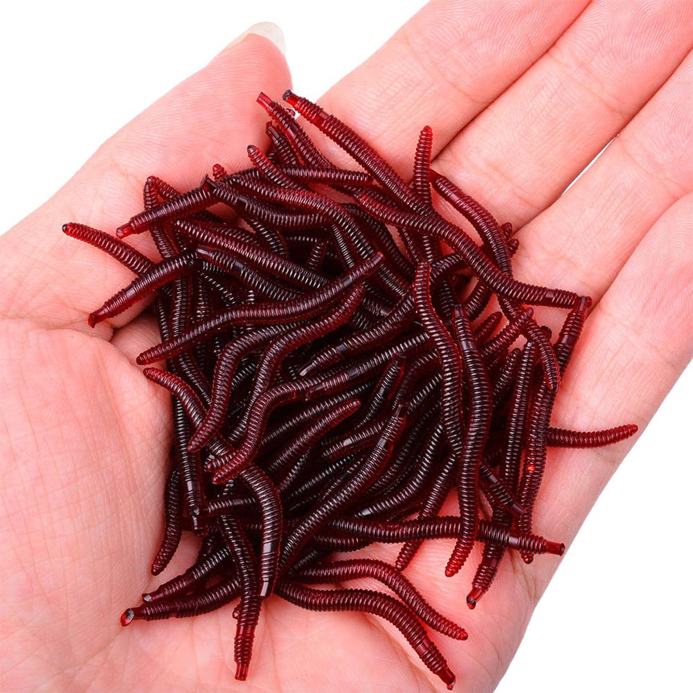 50/100PCS Soft Lure Bass Bream – обзор и цена Aglaonema Red