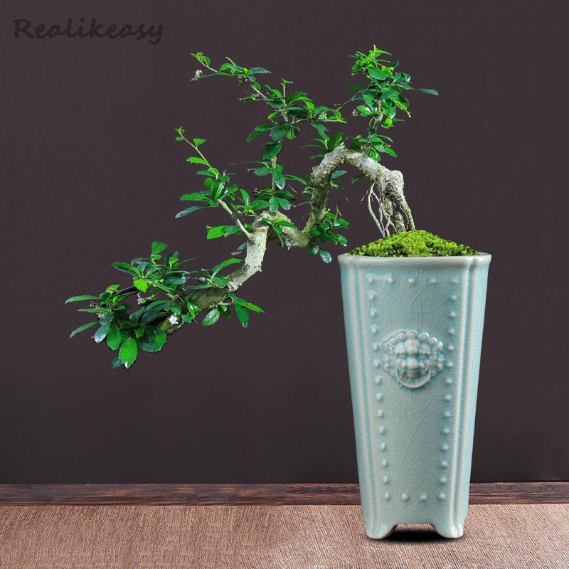 Plastic hanging basket flower  – обзор и цена Spider Plant Hanging