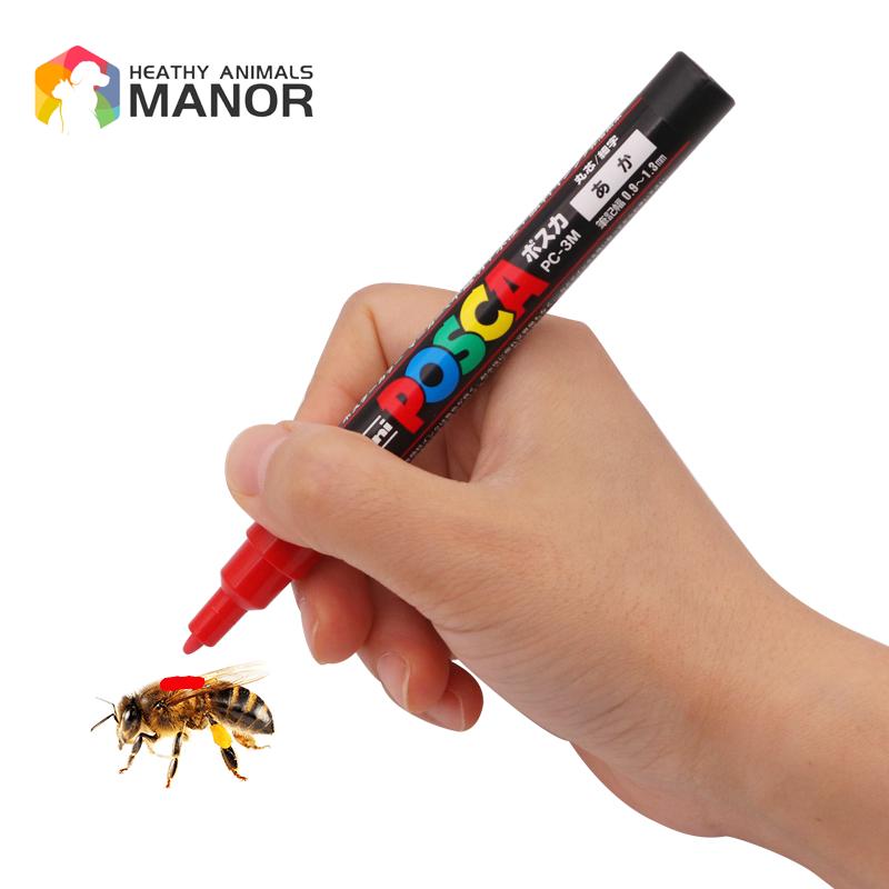 1Pcs Beekeeping Mark Pen Queen – обзор и цена Begonia Rex
